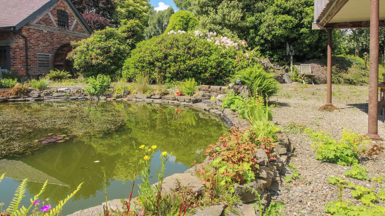 Photo of Outdoor in Clun