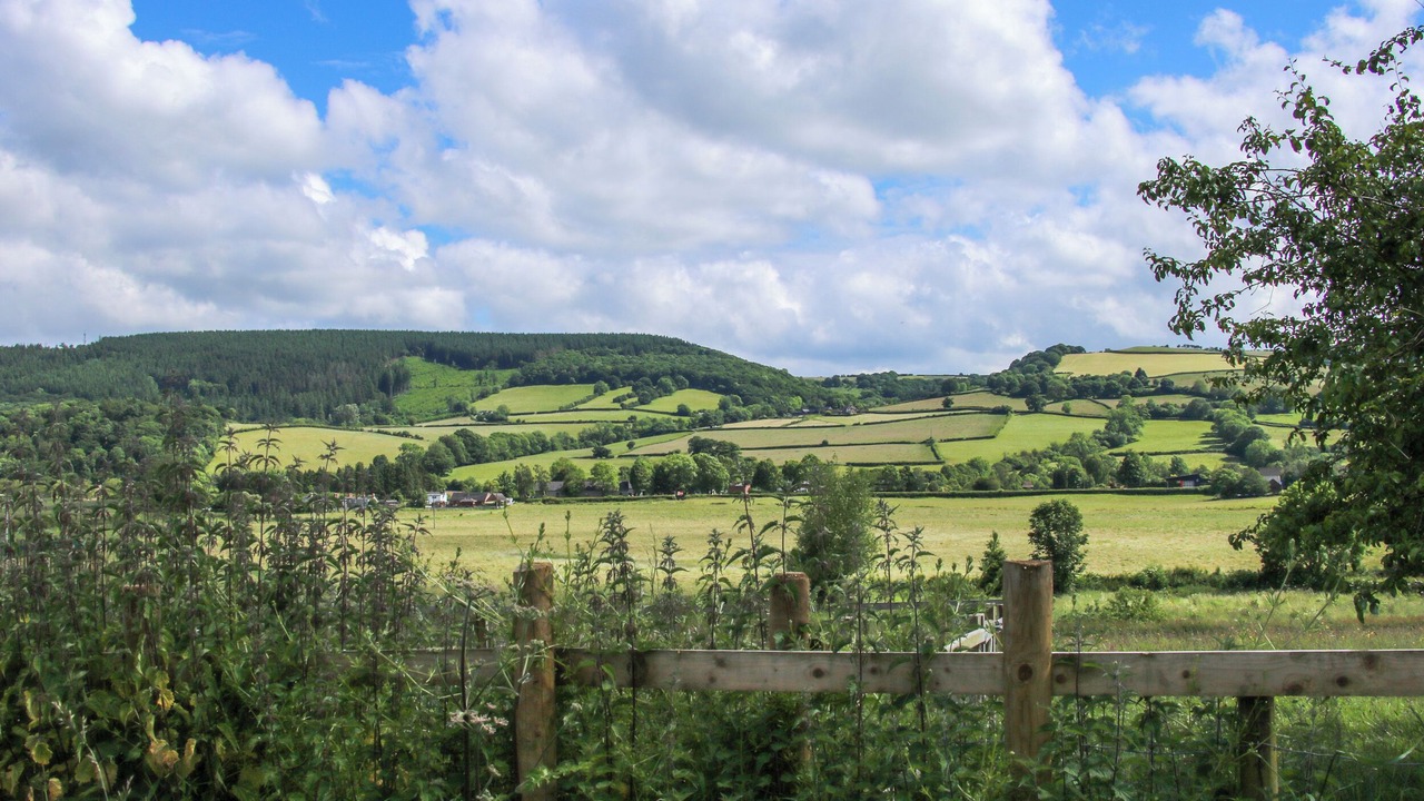 Photo of Others in Clun