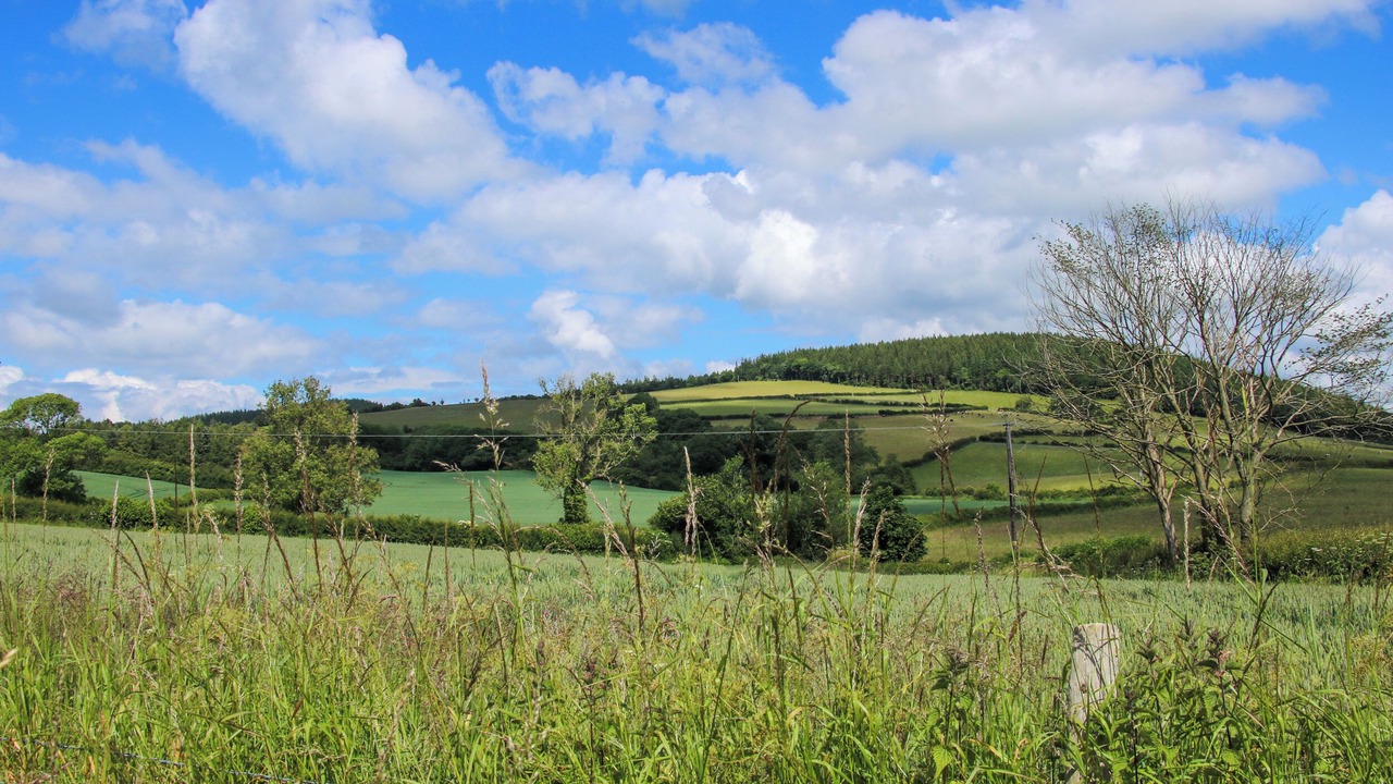 Photo of Others in Clun