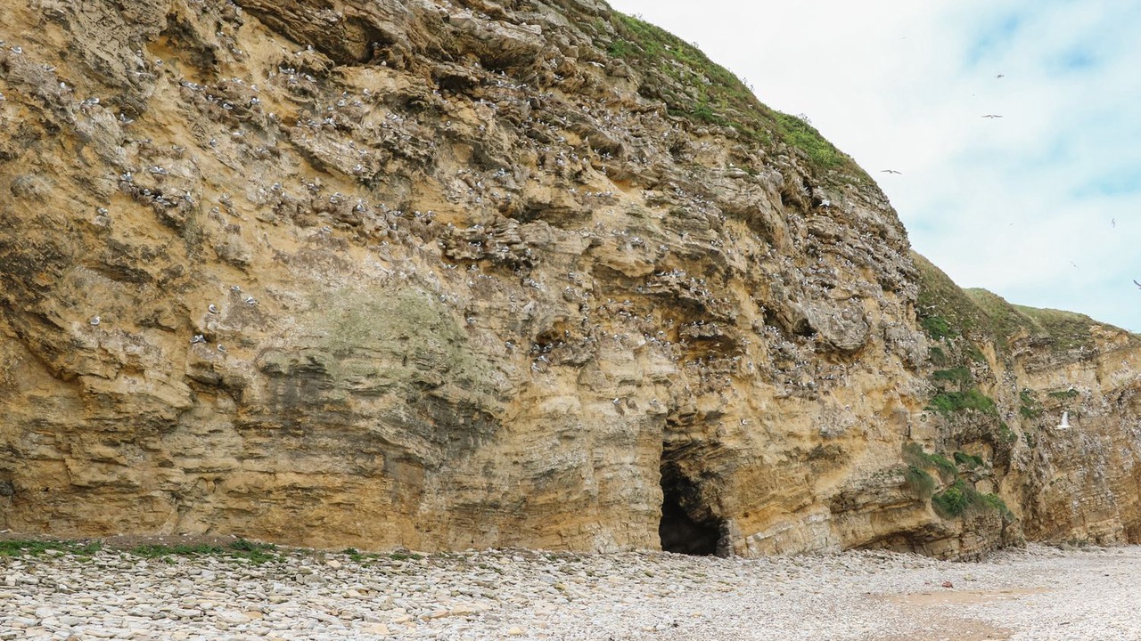 Photo of Others in South Shields