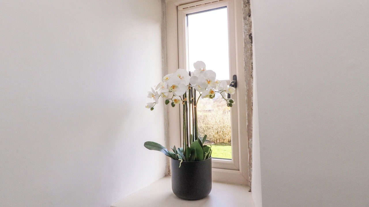 Photo of Others in Burnsall