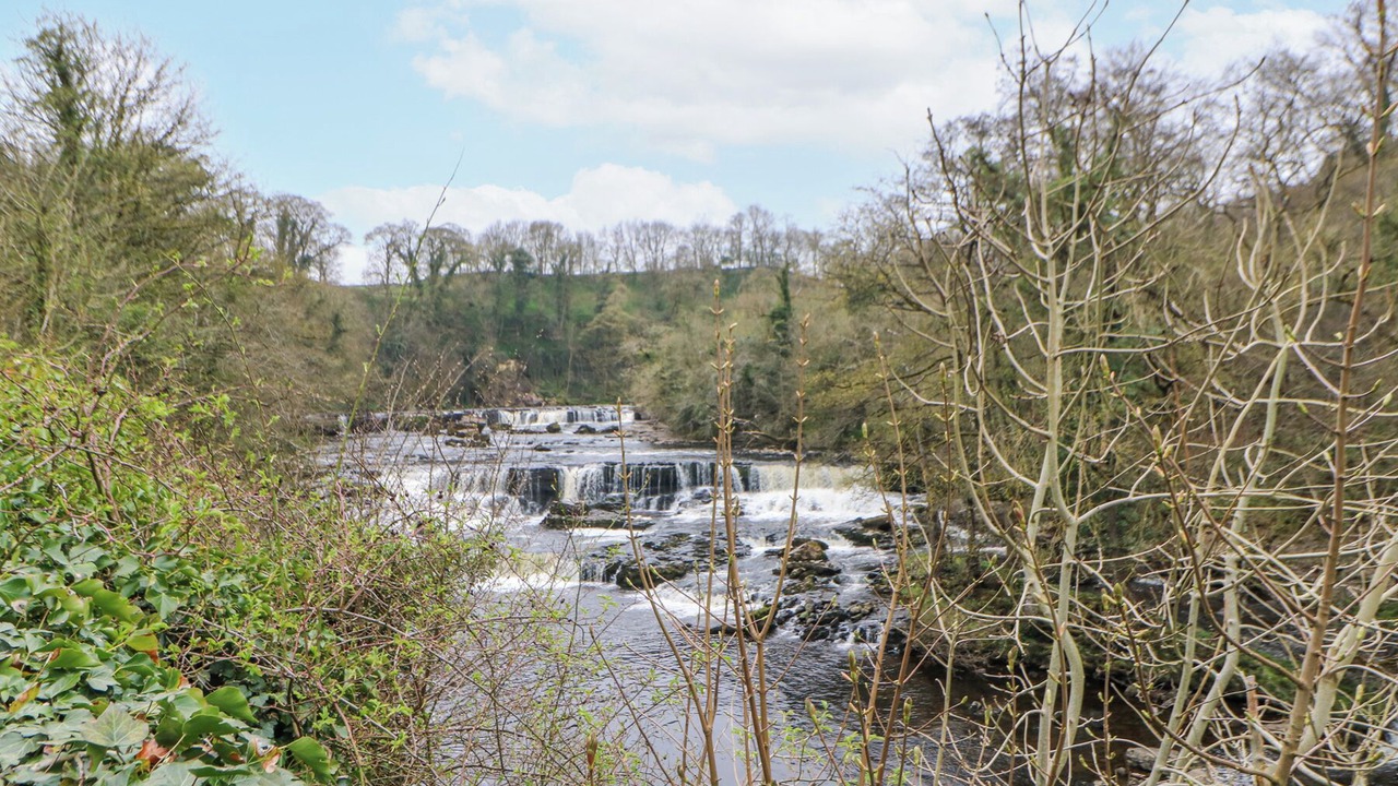 Photo of Others in Aysgarth
