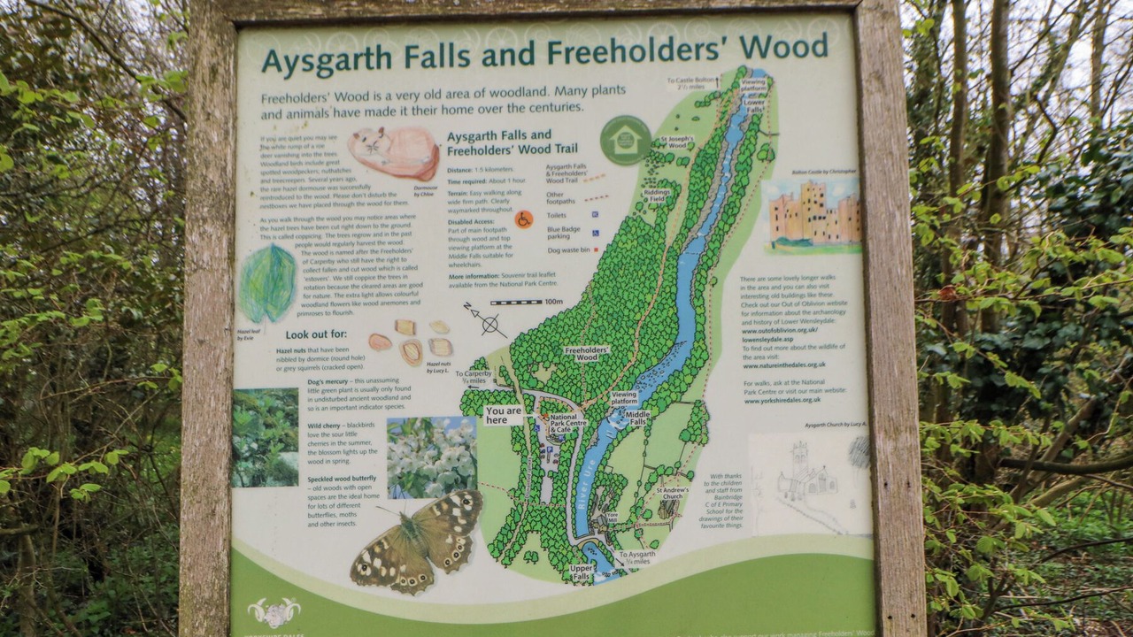 Photo of Others in Aysgarth