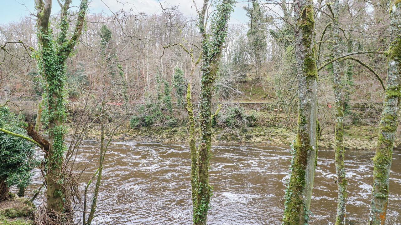 Photo of Others in Aysgarth