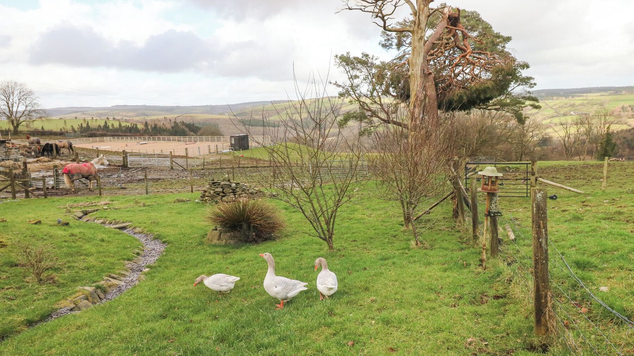 Photo of Outdoor in Pont-ar-gothi