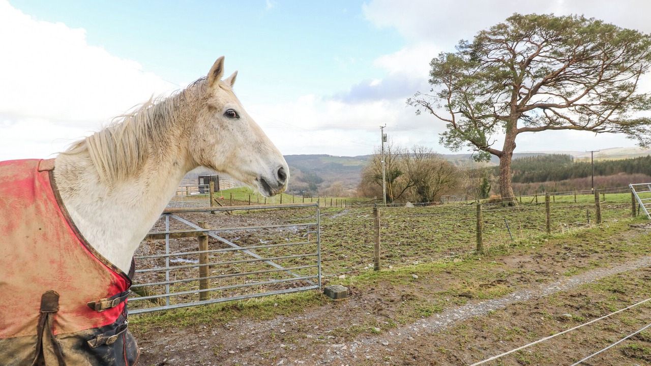 Photo of Others in Pont-ar-gothi