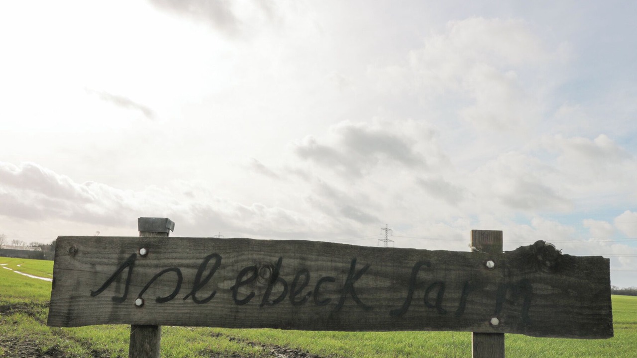 Photo of Outdoor in Thirsk