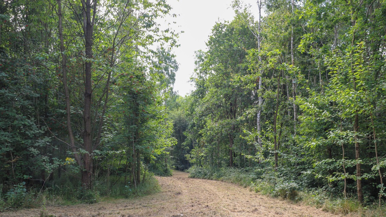 Photo of Others in Swannington