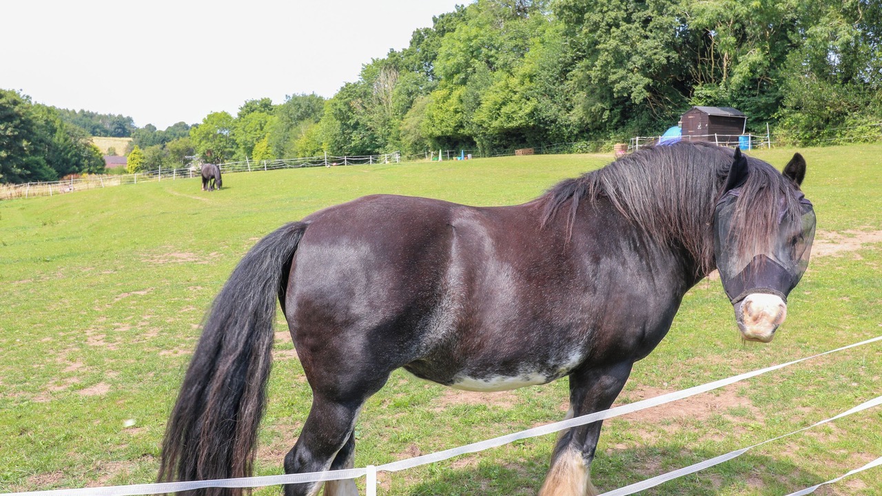 Photo of Others in Swannington