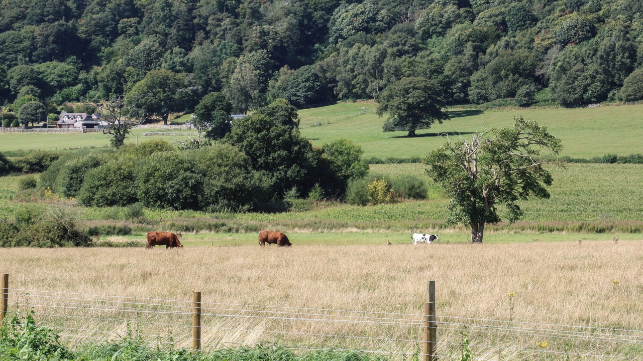 Photo of Others in Wollerton