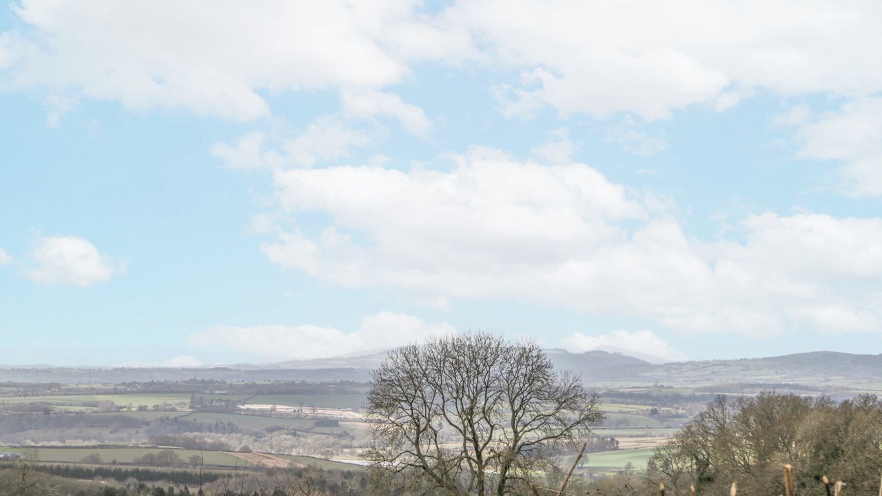 Photo of Others in Old Gore