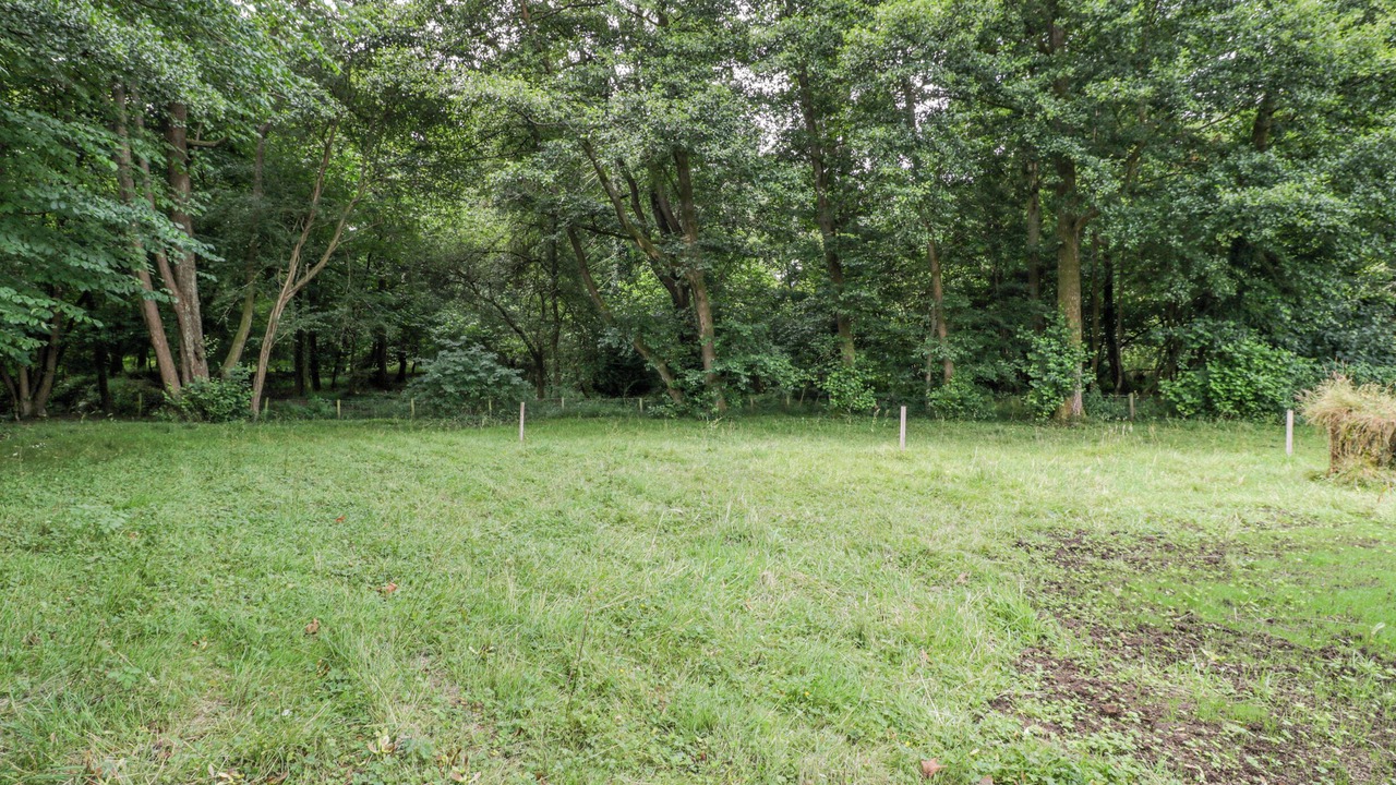 Photo of Outdoor in Parkend