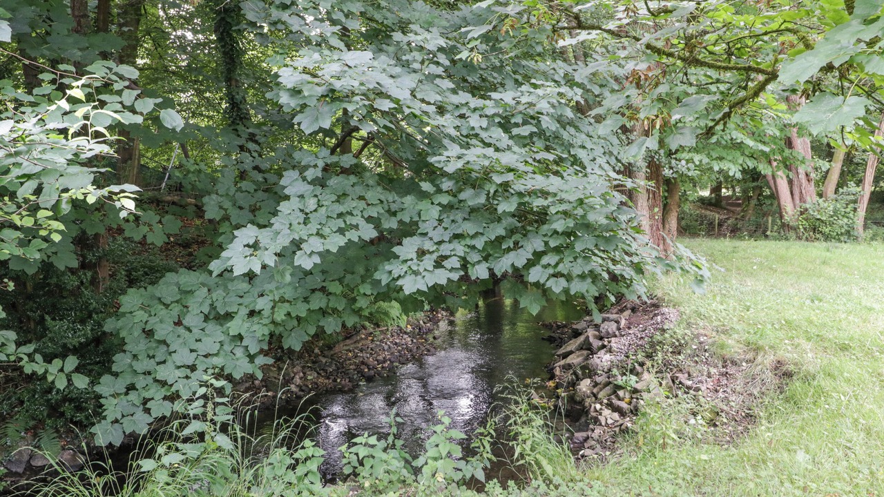 Photo of Others in Parkend