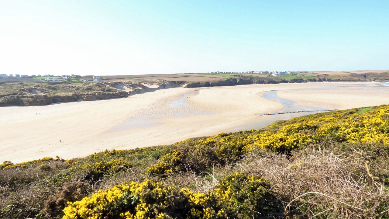 Photo of Others in Newquay City Centre