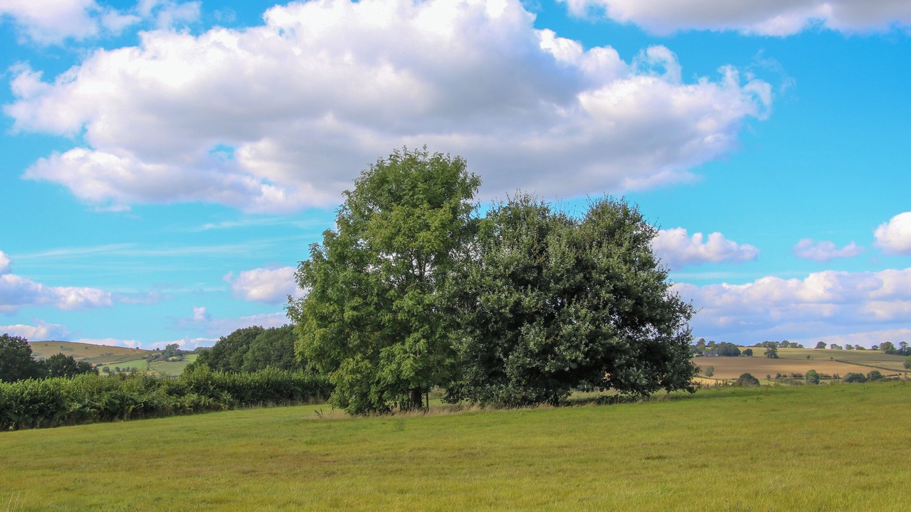 Photo of Others in Garway