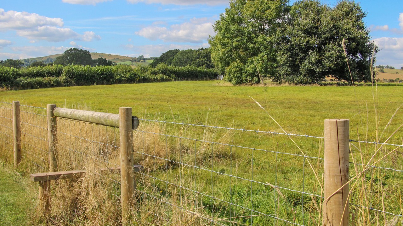 Photo of Outdoor in Garway