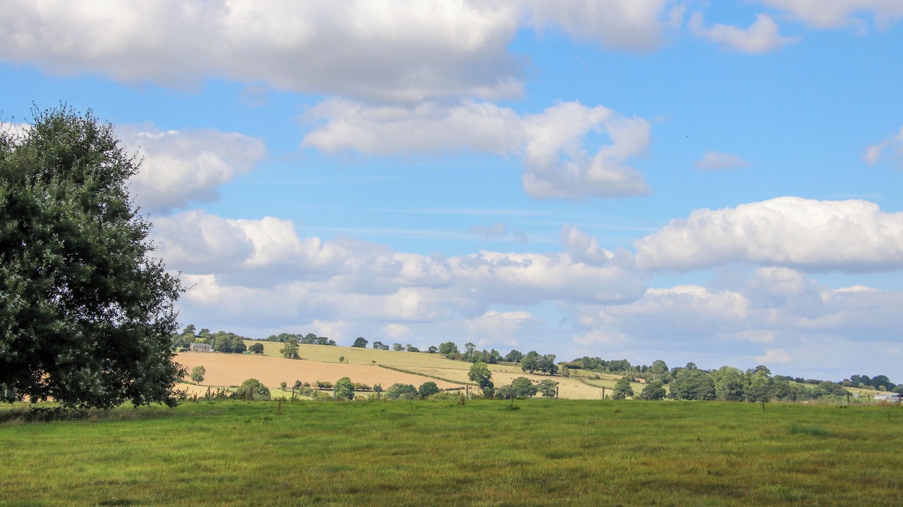 Photo of Others in Garway