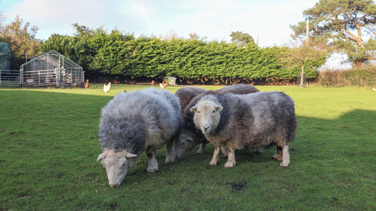 Photo of Others in Winsham