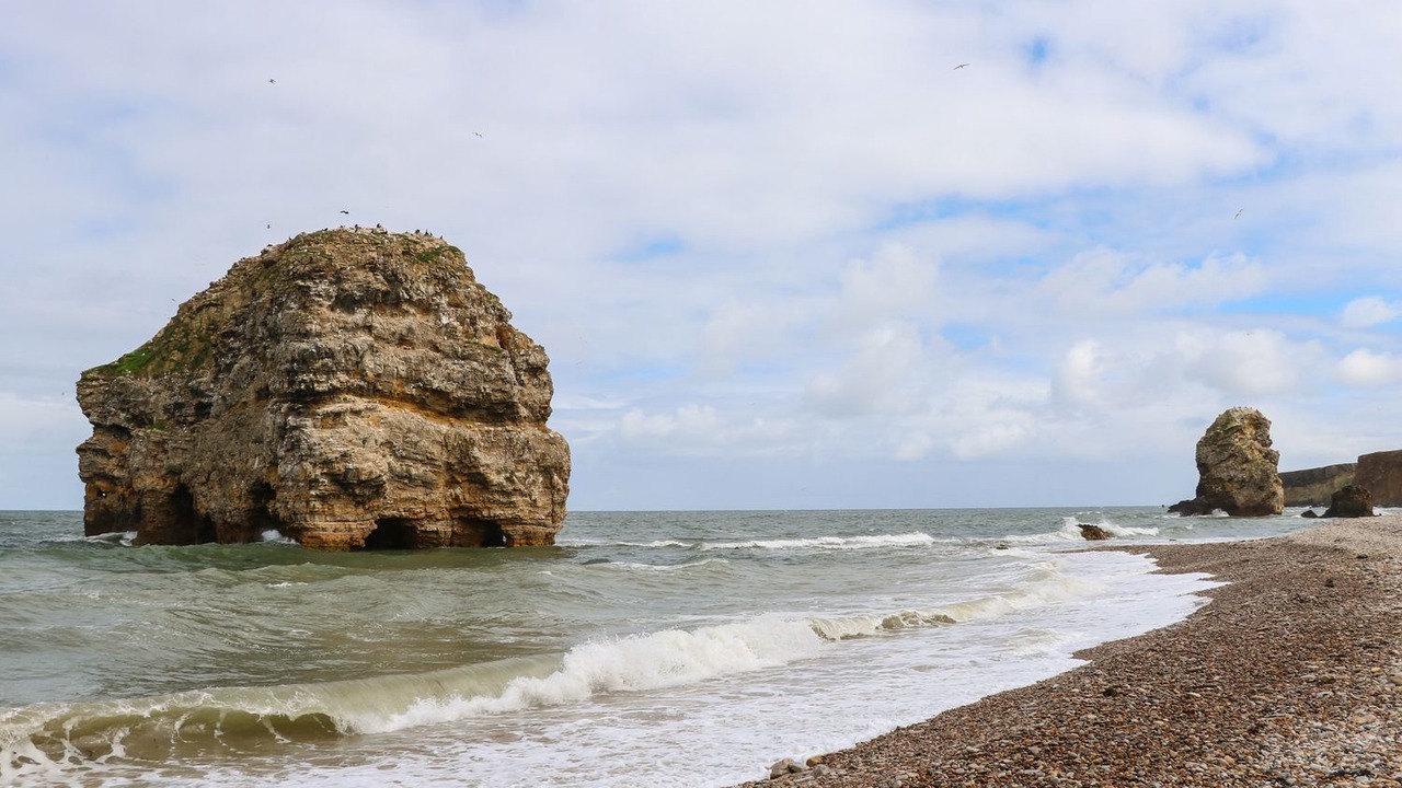 Photo of Others in South Shields