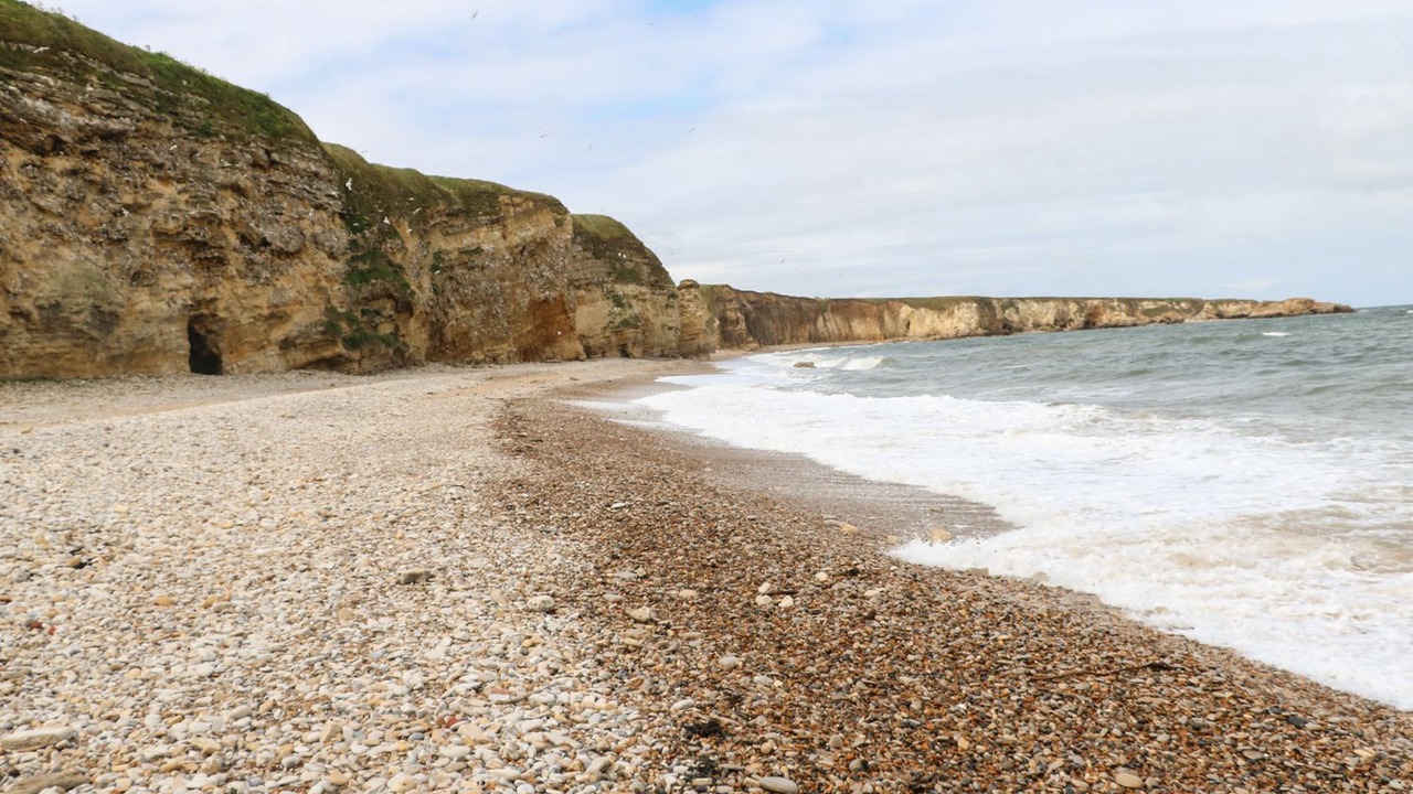 Photo of Others in South Shields