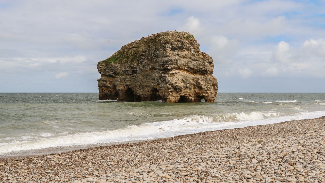 Photo of Others in South Shields