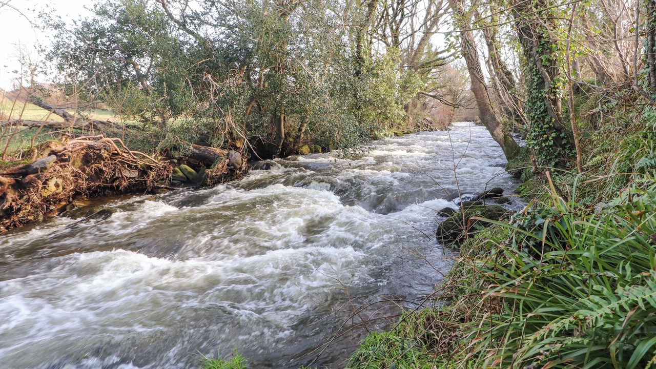 Photo of Others in Dinas