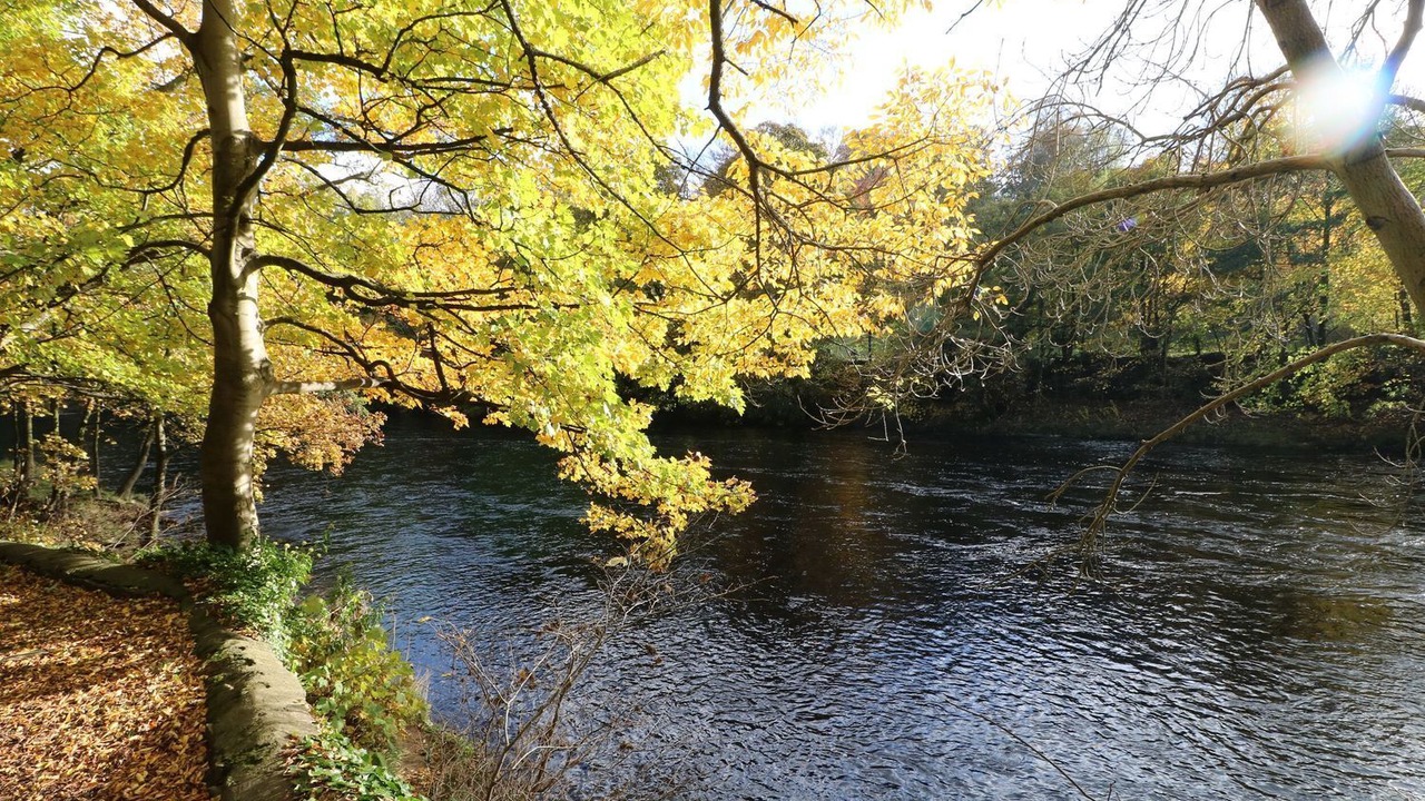 Photo of Others in Bedale