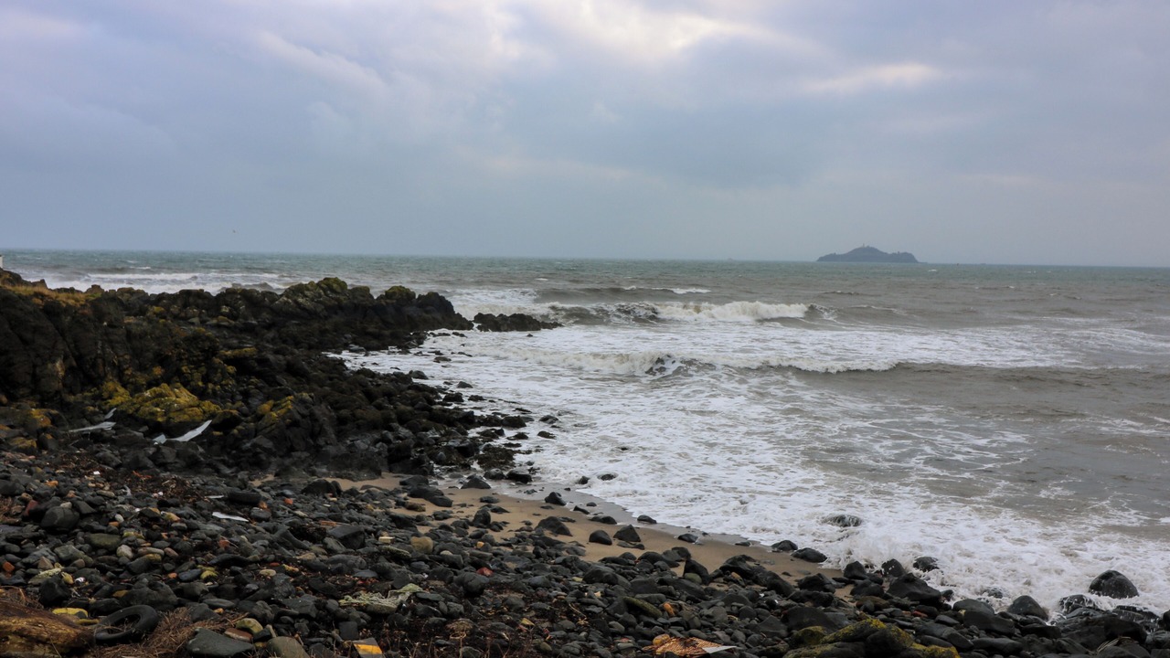 Photo of Others in Pettycur