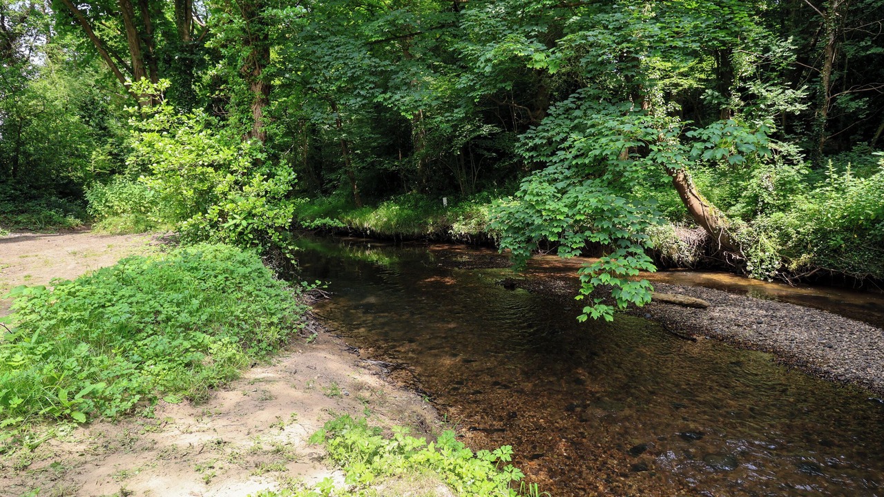 Photo of Others in Pontblyddyn