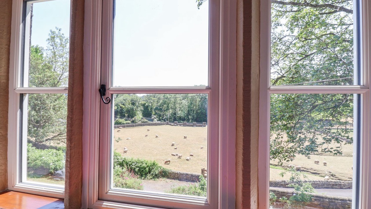 Photo of Others in Shipley