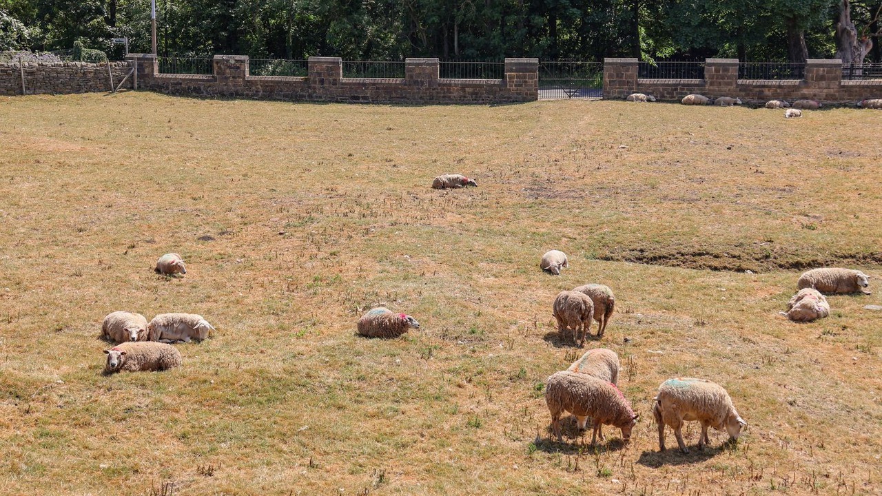 Photo of Others in Shipley