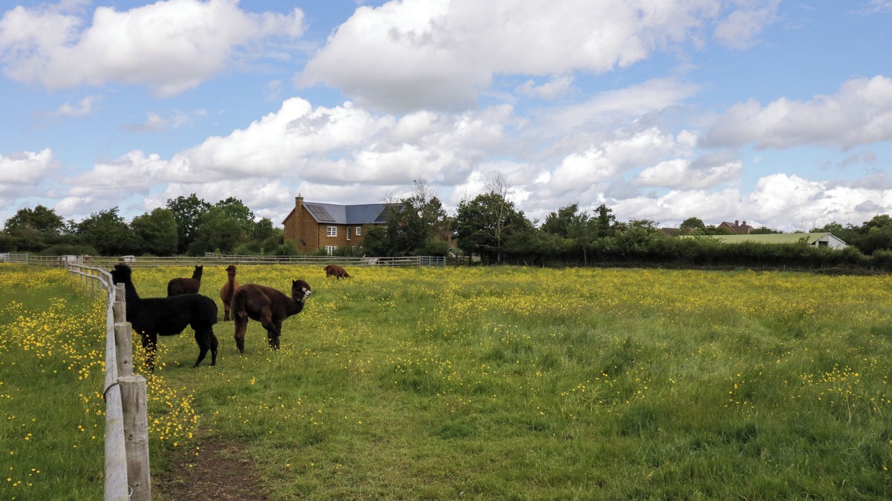 Photo of Others in Oxhill