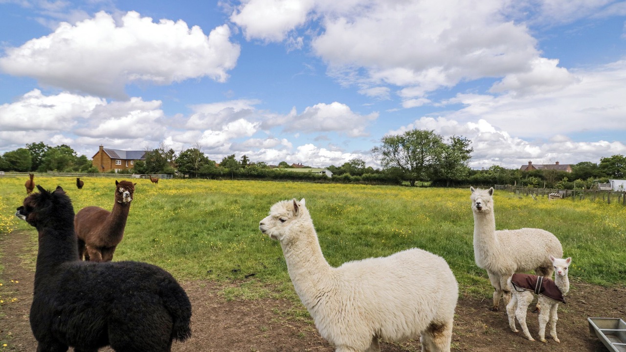 Photo of Others in Oxhill