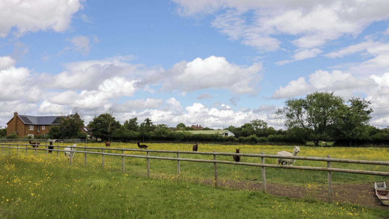 Photo of Others in Oxhill