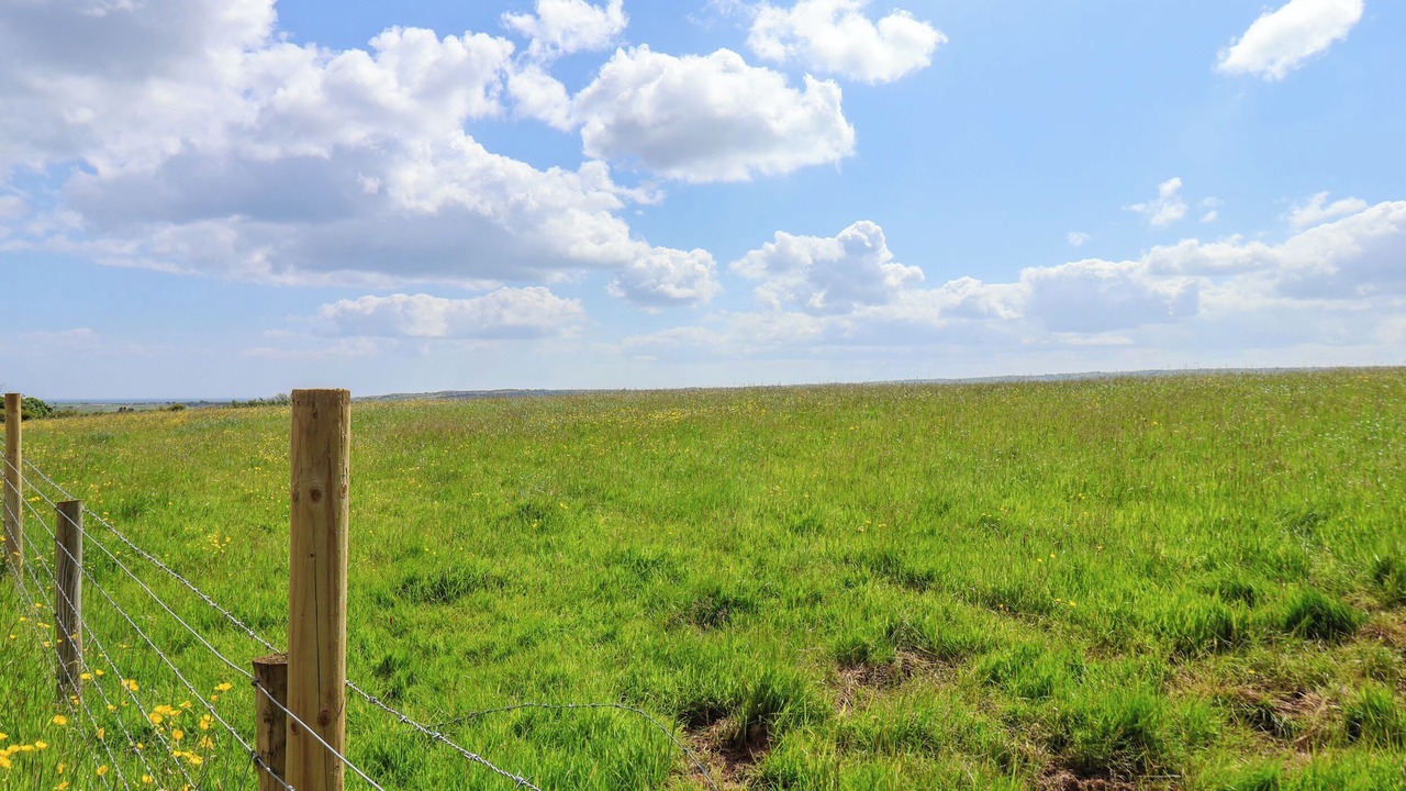 Photo of Others in Briggswath