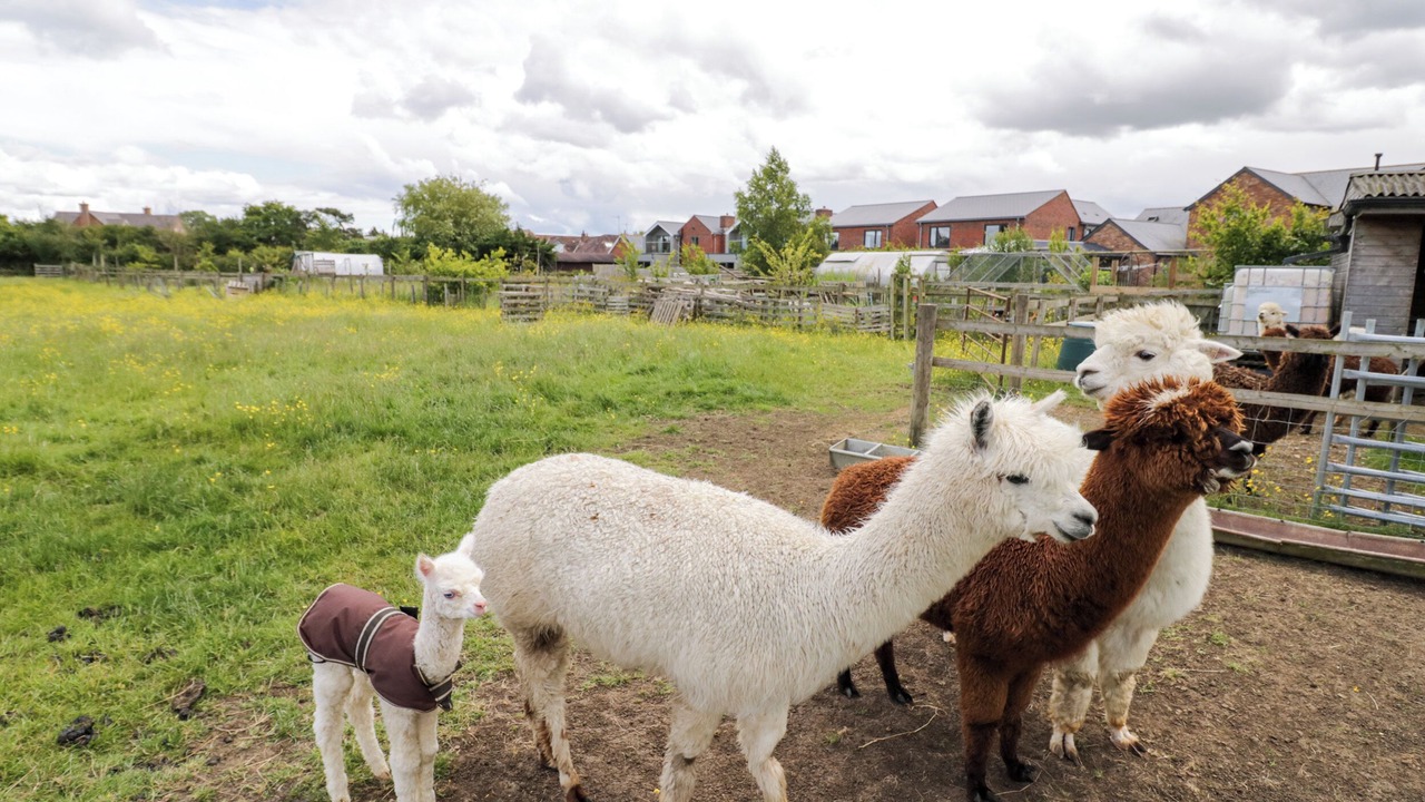 Photo of Others in Oxhill