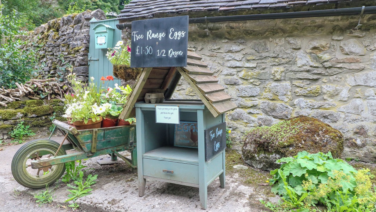 Photo of Outdoor in Alstonfield