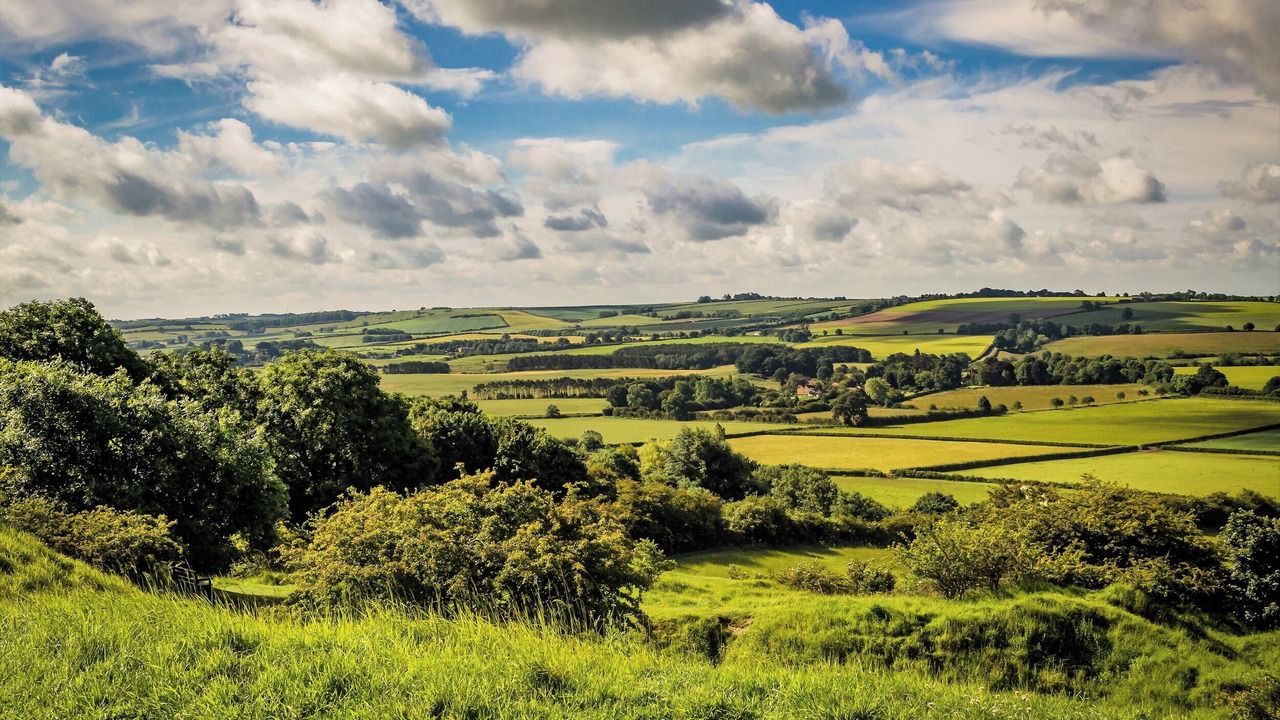Photo of Others in Metheringham