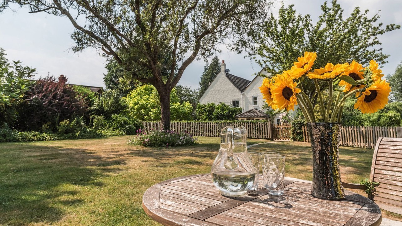 Photo of Patio Balcony in New Forest District