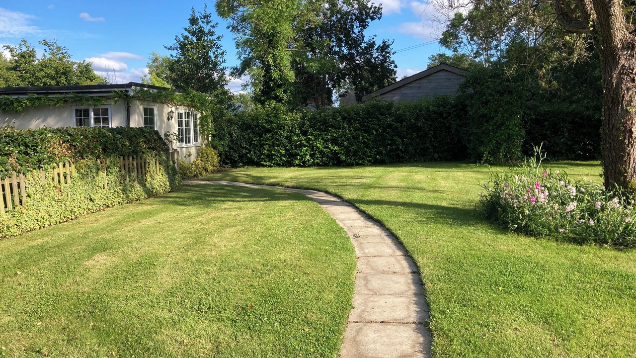 Photo of Outdoor in New Forest District