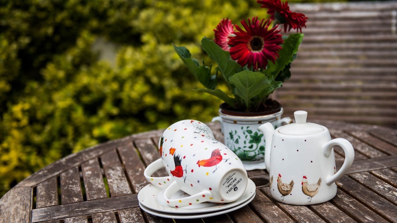 Photo of Others in New Forest District