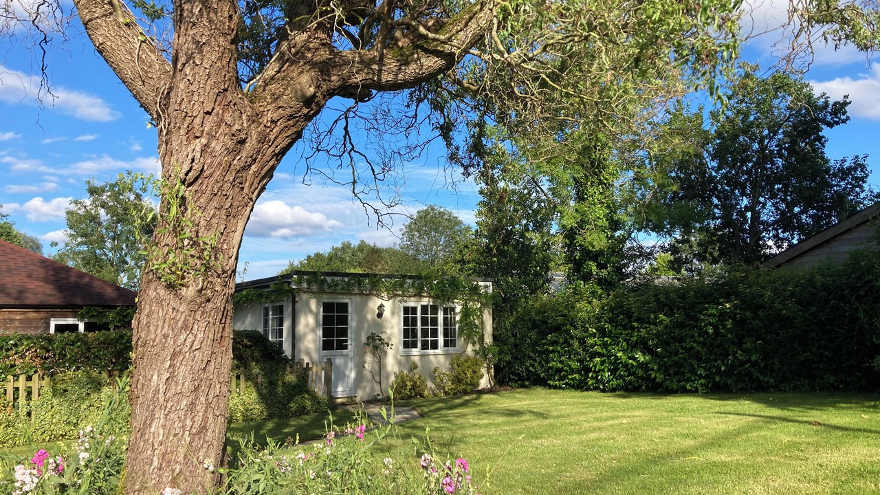 Photo of Outdoor in New Forest District