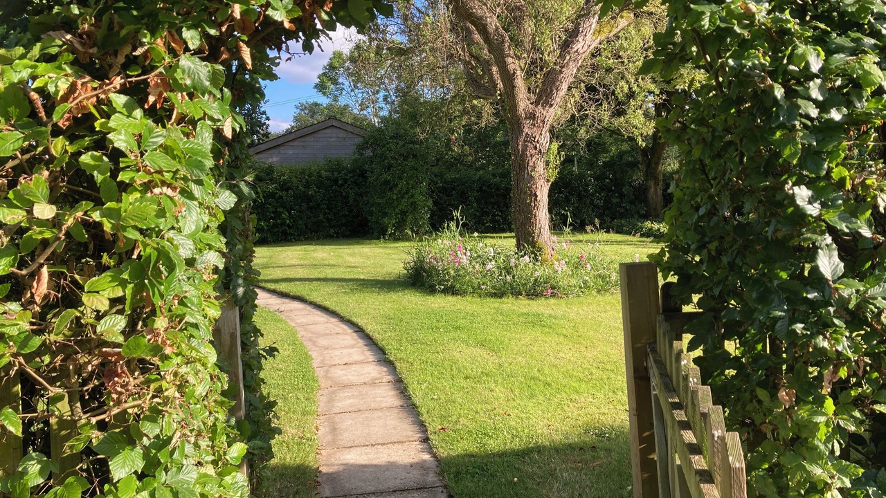 Photo of Outdoor in New Forest District