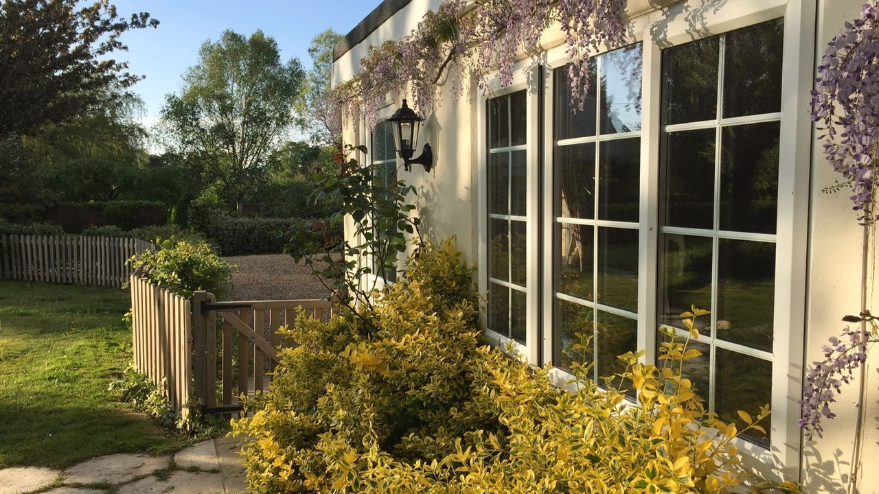 Photo of Outdoor in New Forest District