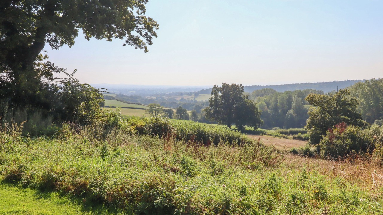 Photo of Others in Westcott