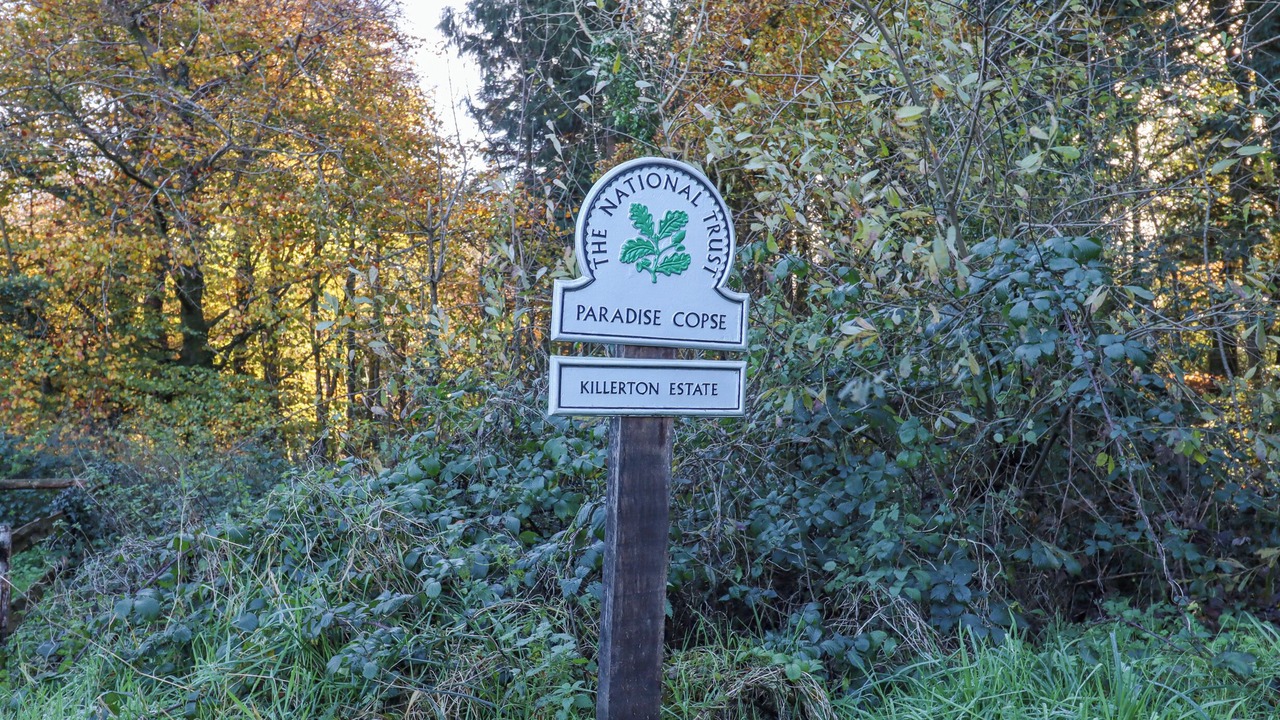 Photo of Outdoor in Westcott