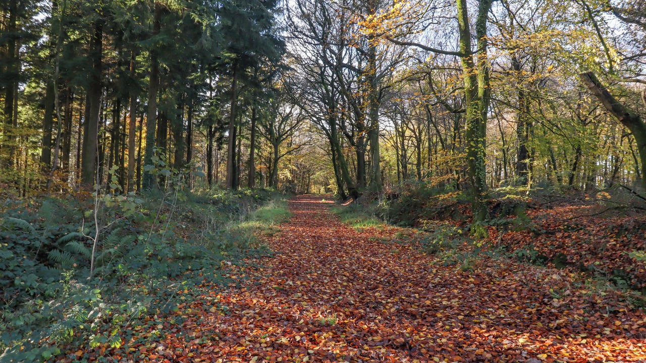 Photo of Others in Westcott