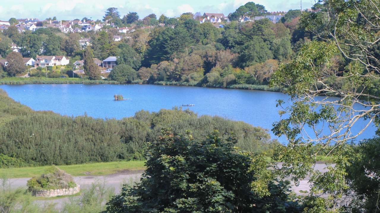 Photo of Others in Maenporth