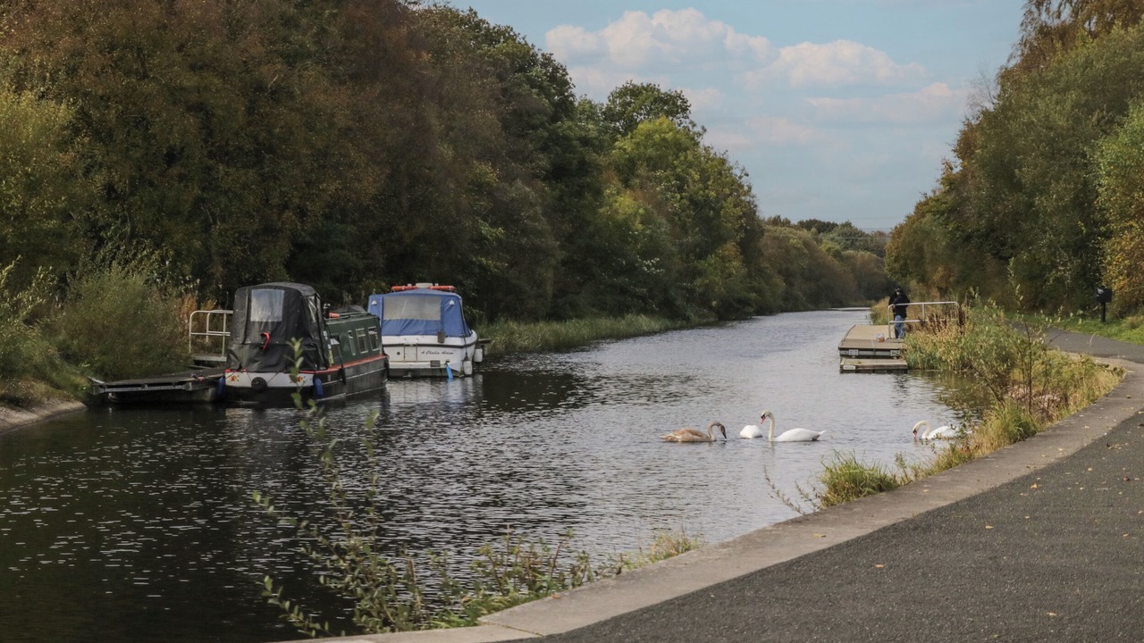 Photo of Others in Denny