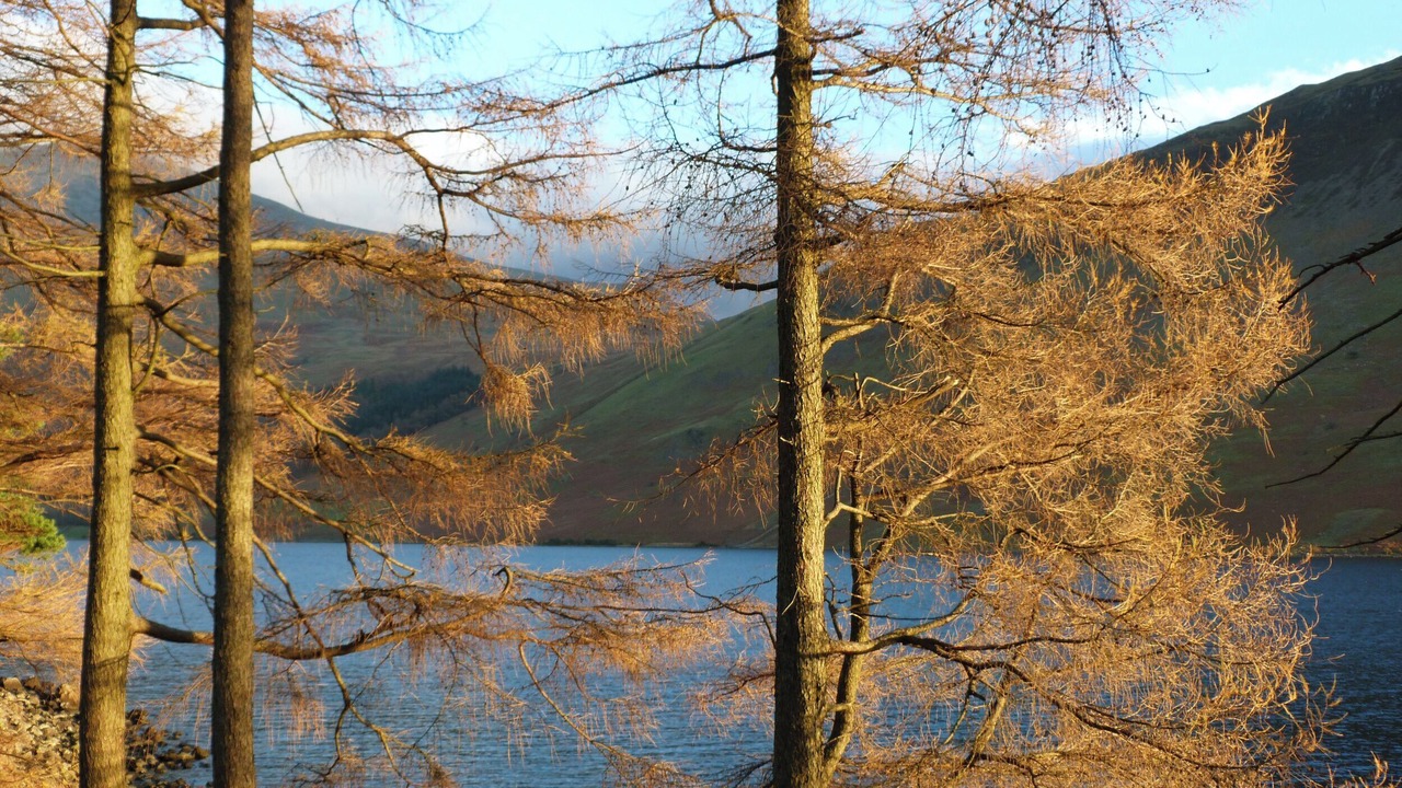 Photo of Others in Newland Near Ulverston